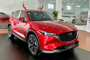 List of 5 best-selling high-undercarriage car models in the Vietnamese market in 2023 5